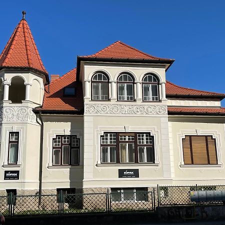 Vila Marioara ซีบิว ภายนอก รูปภาพ